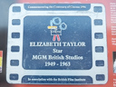 Taylor, Elizabeth (id=3695)